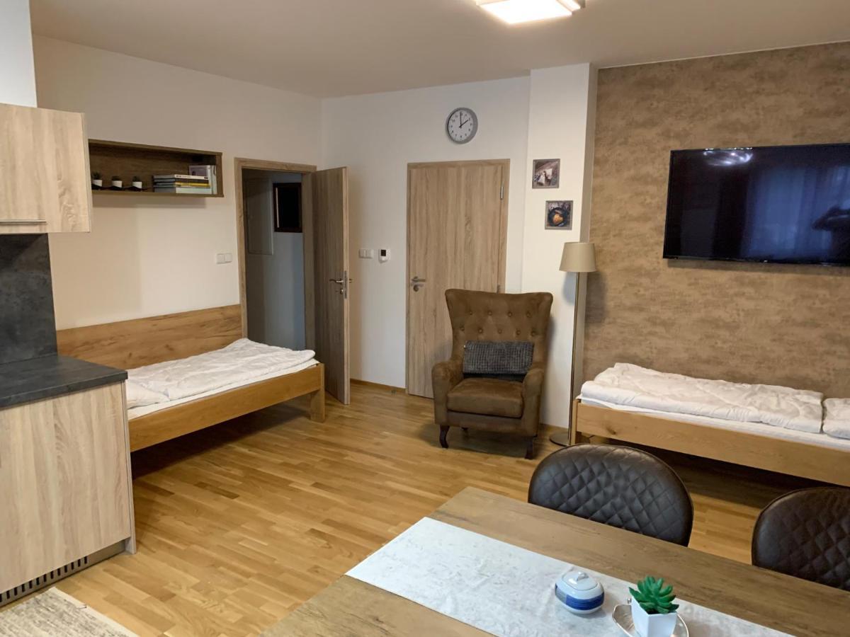 Apartmany Rezidence Klostermann & Javor Zelezna Ruda Luaran gambar